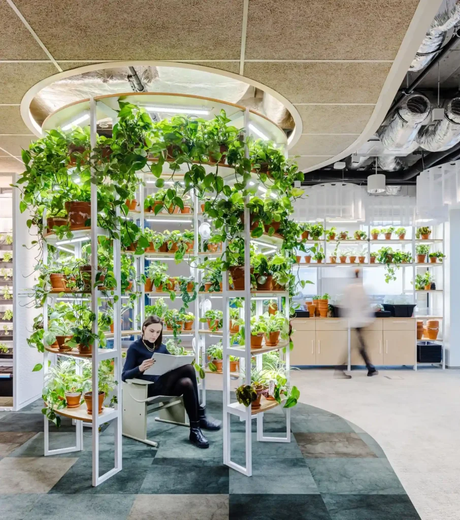 diseño biofílico: jardines verticales 
