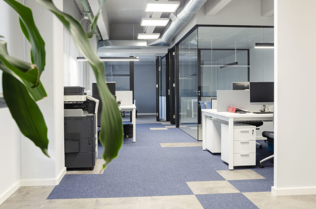 _DSC0115 copia svg+xml;charset=utf