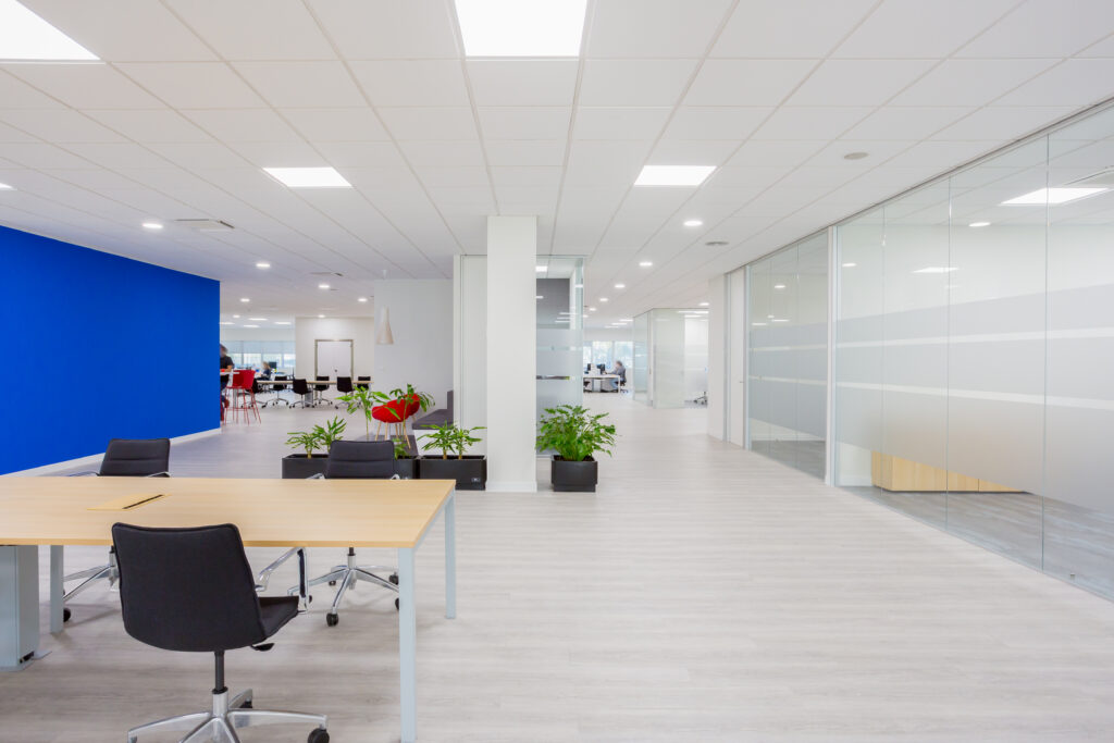 20201123 Oficinas Tecuni (Ortuella)-24 svg+xml;charset=utf