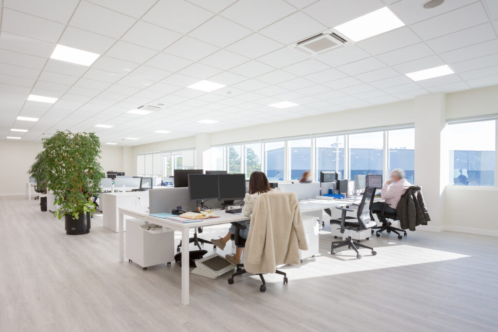 20201123 Oficinas Tecuni (Ortuella)-34 svg+xml;charset=utf