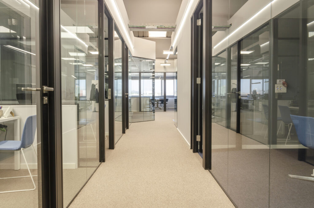 _DSC0053 copia svg+xml;charset=utf