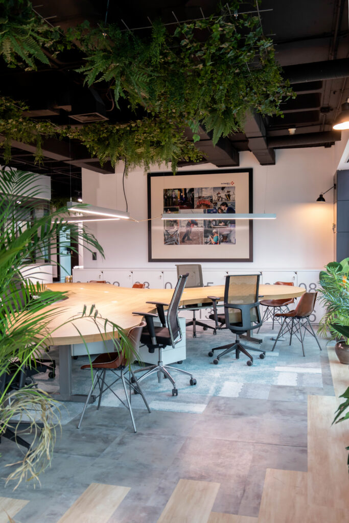 IMG_6958 svg+xml;charset=utf