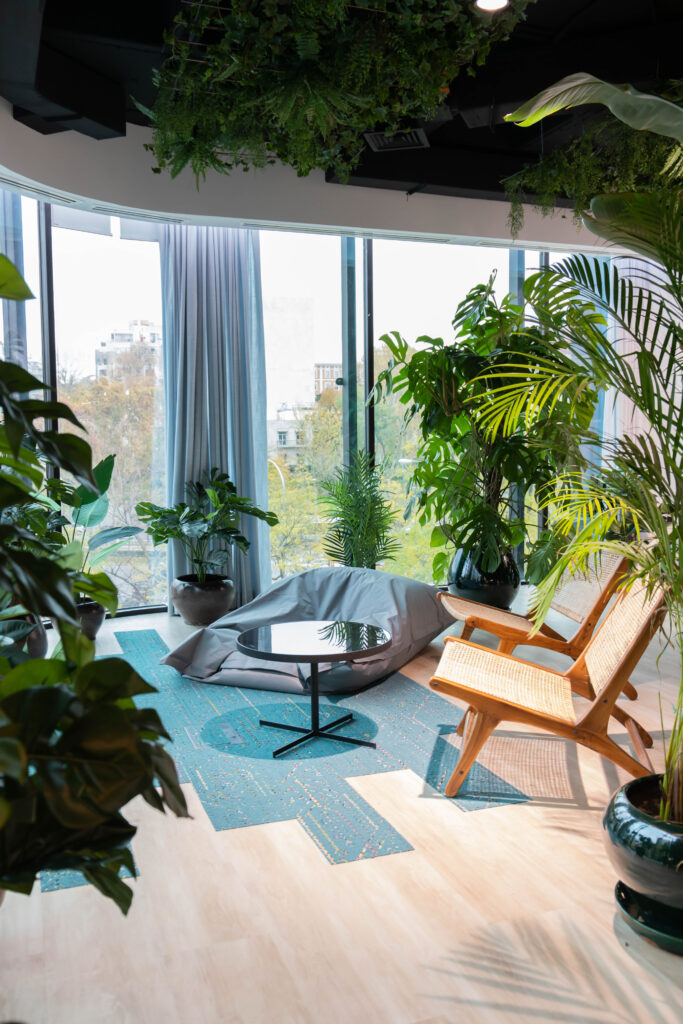 IMG_6961 svg+xml;charset=utf