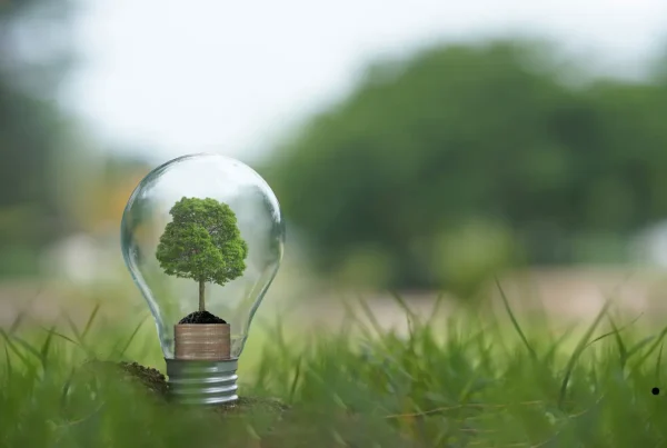 eficiencia energetica