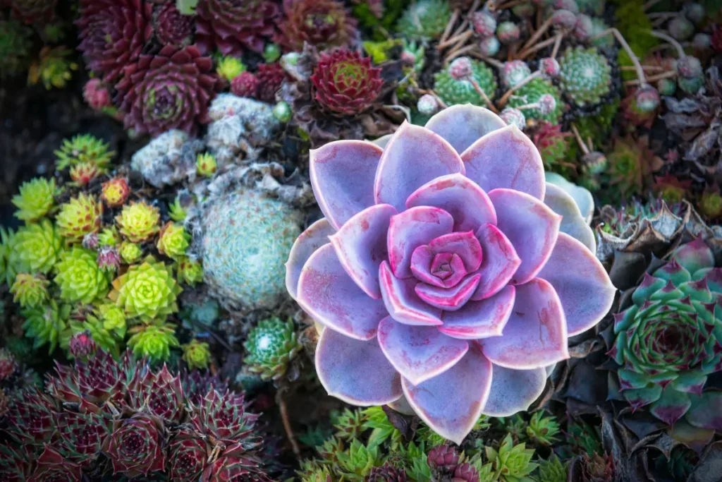 plantas para oficinas